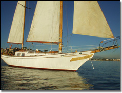 Amethyst Sailing