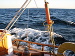 Sea Foam in sailing in Santa Monica Bay