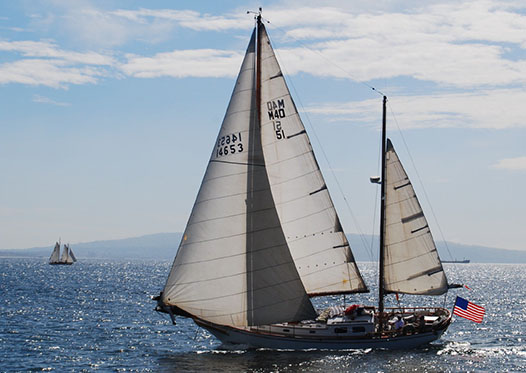 sailboat rental catalina island